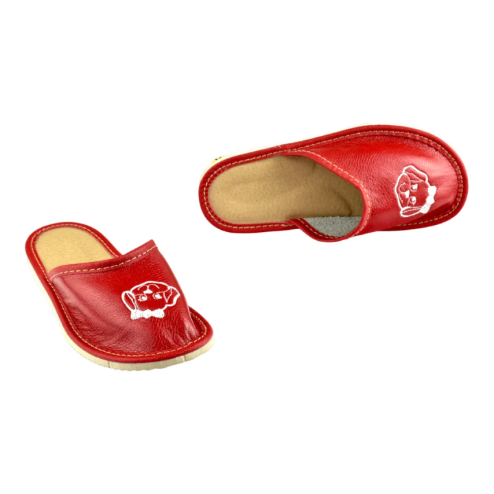 Rote Kinderslipper mit Hundemotiv, Kinderschuhe
